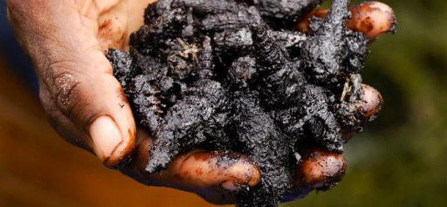 shell_nigeria_inline.jpg
