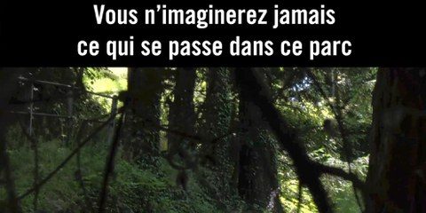 Notre vidéo «Social Experiment» est en ligne!