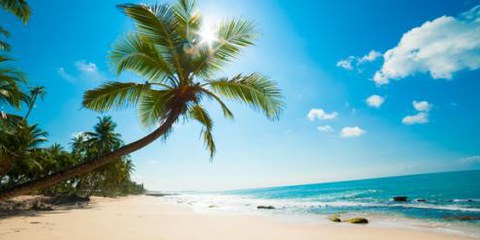 Le spiagge paradisiache dello Sri Lanka nascondono una drammatica realtà  © Anton Gvozdikov/Shutterstock.com 