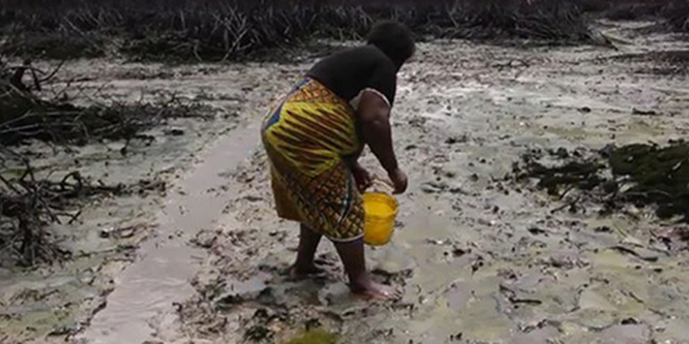 L'inquinamento prodotto dalla Shell ha devastato abitazioni, fattorie e bacini di pesca | © Amnesty International